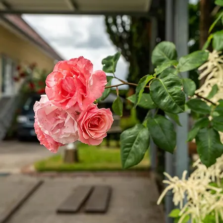 Gaestehaus Retsch Nyaraló Oberkirch